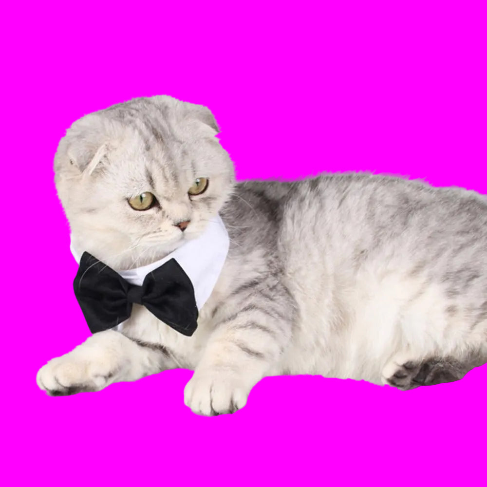 Pets Dog-Cat Bow Tie Adjustable